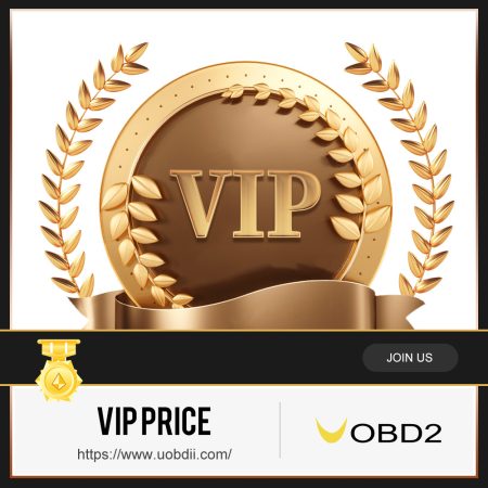 Special Offer for VIP Members 166