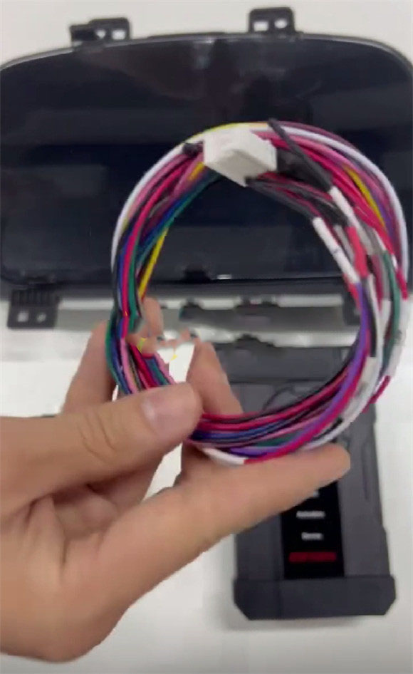 cgdi-cg100x-correct-2024-kia-carens-mileage-5